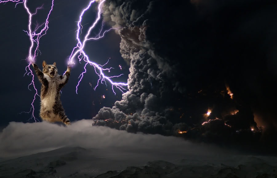 The-Thunder-Cat.jpg